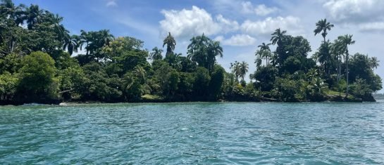 Old Bank & Hospital Point