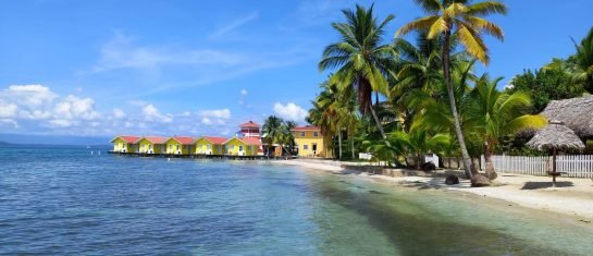 WhatsApp Bild 2024-10-05 um 21.53.56_b33ebd06