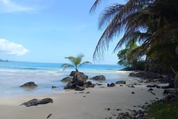 WhatsApp Bild 2024-10-08 um 21.19.41_cbc01f7f