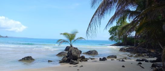 WhatsApp Bild 2024-10-08 um 21.19.41_cbc01f7f