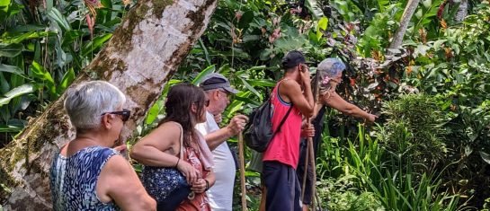 Green Acres Chocolate Farm